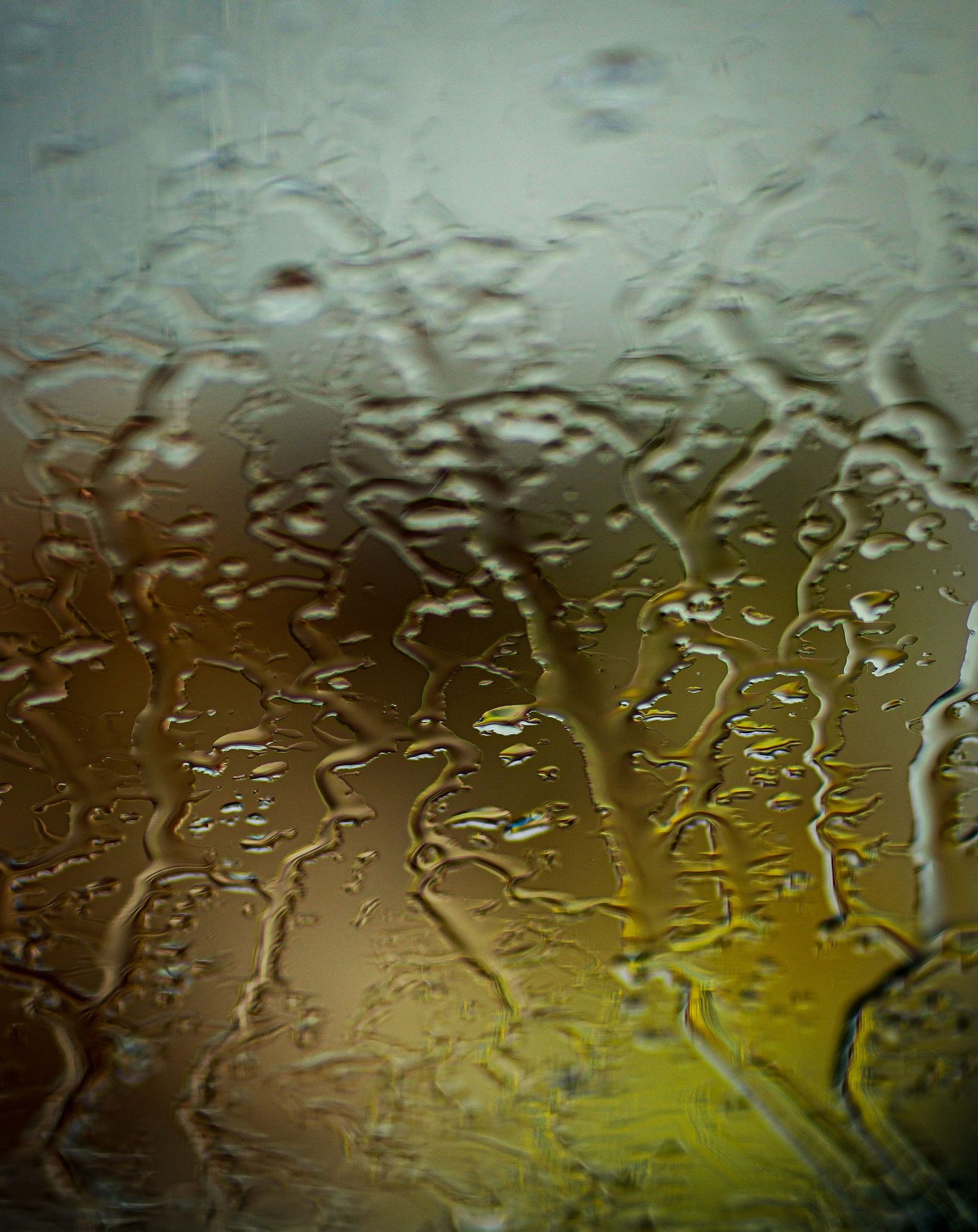 Rain droplets on a glass pane